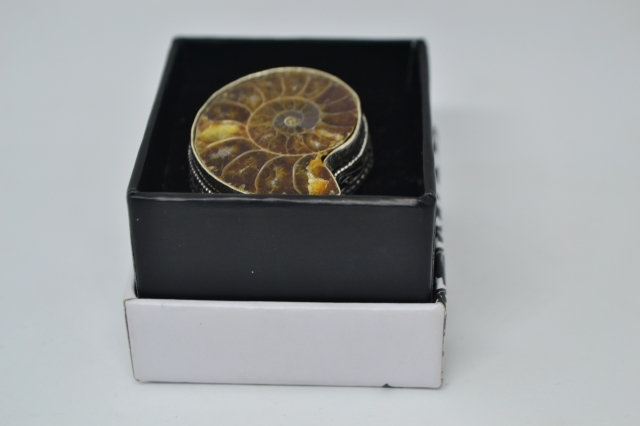 Large Silver Ring with Ammonite.
